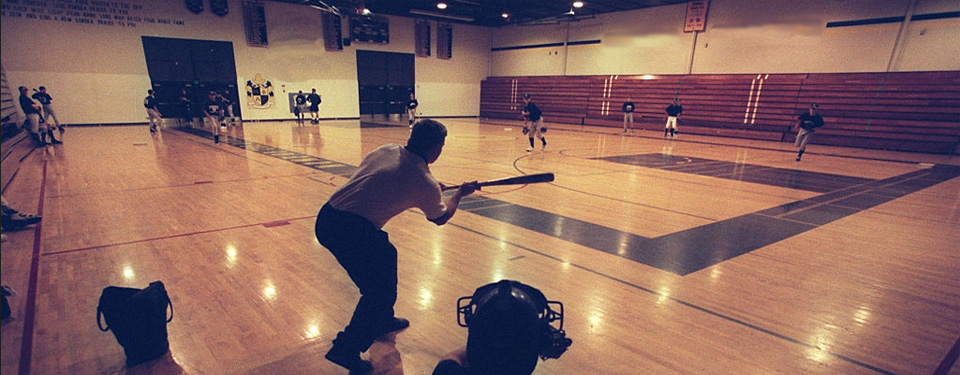 Winter Baseball Clinics