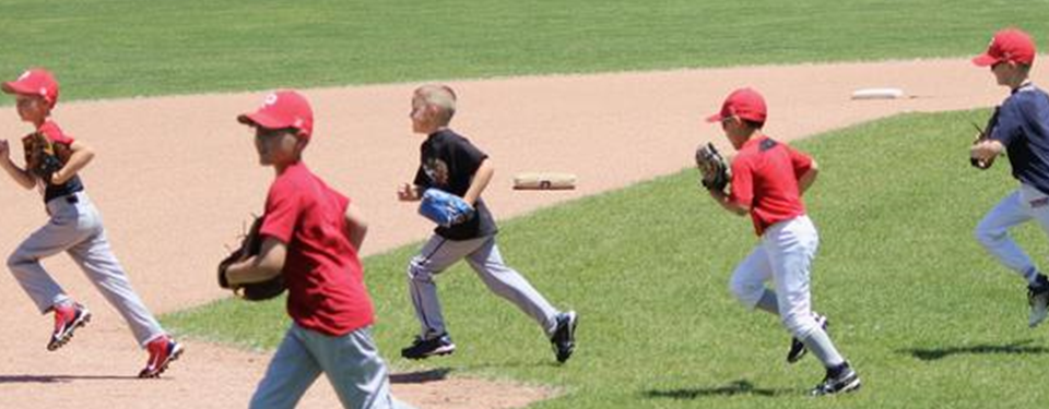 Baseball Summer Camps